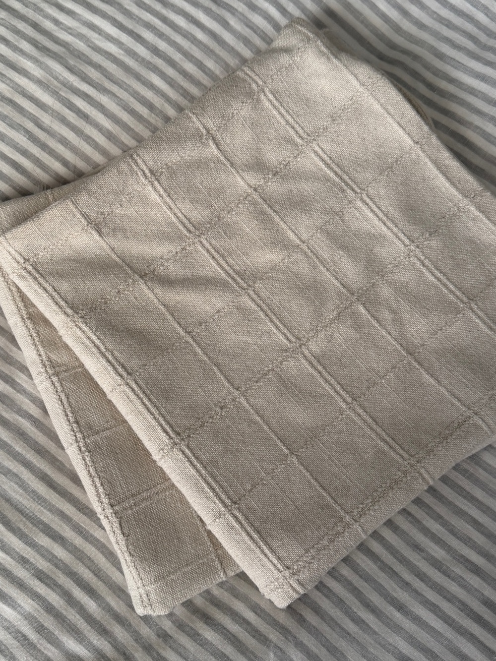 TWO WEST ELM pillow covers